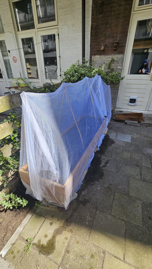 Op plastic dieet: hoe groot is jouw plastic afvalberg van 1 week?