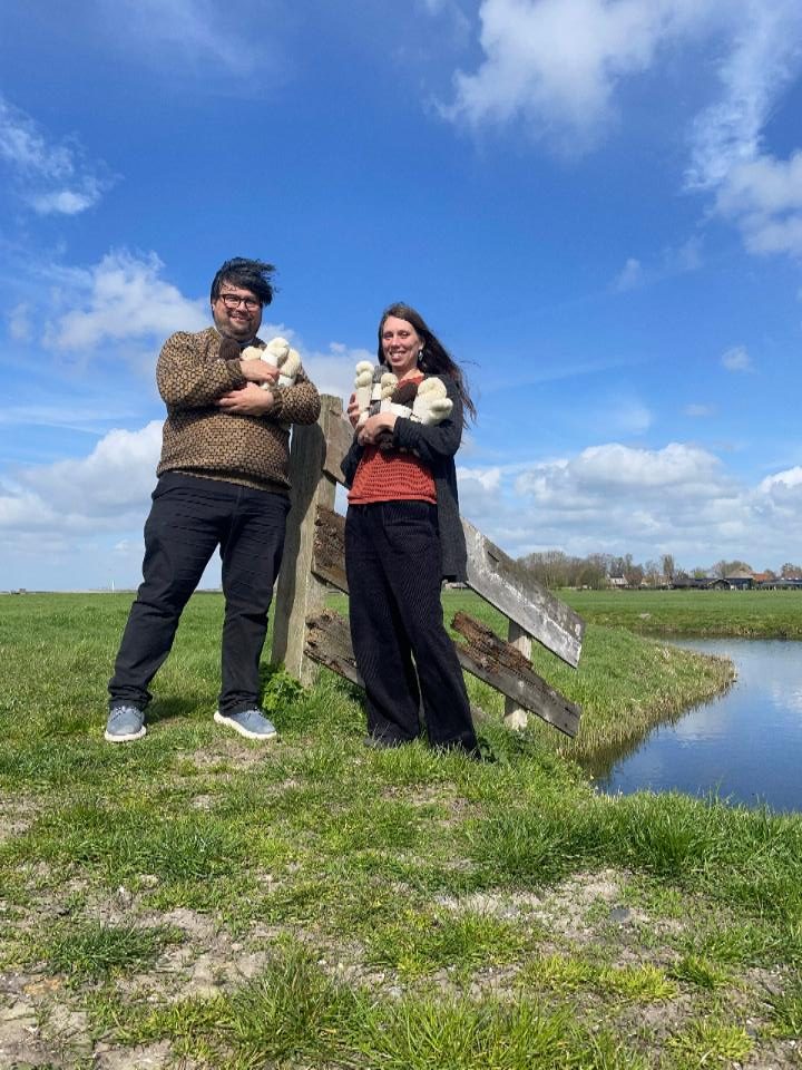 Polderdraad verwerkt Nederlandse wol tot lokale breigaren