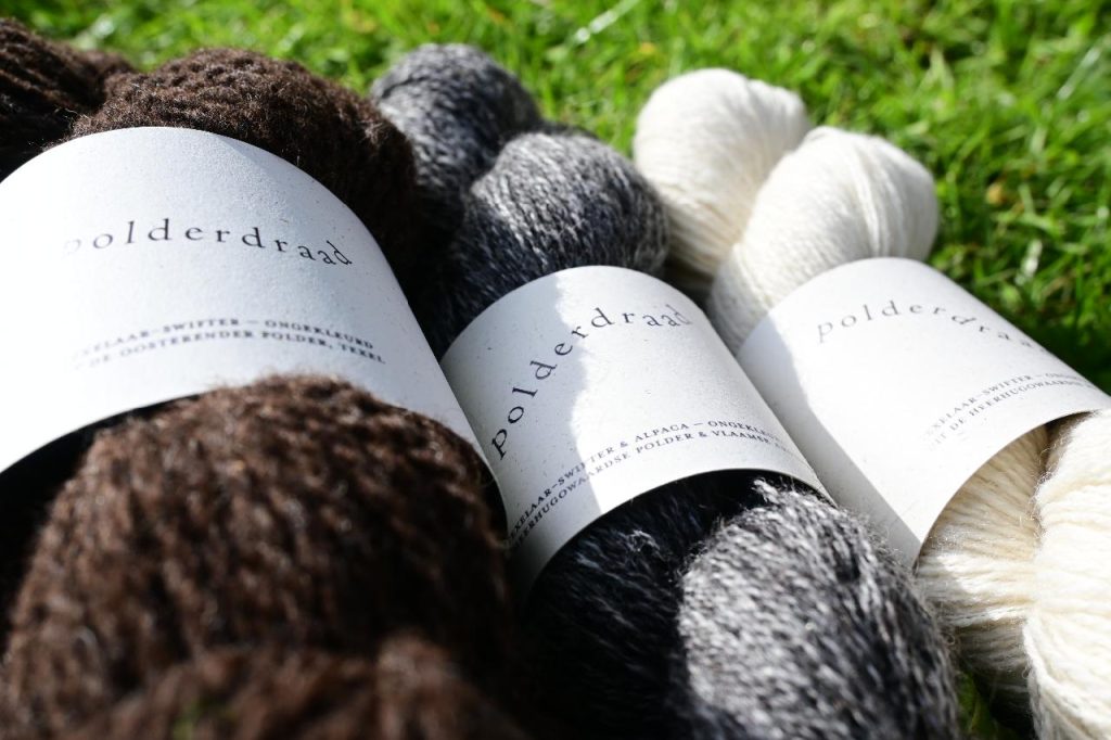 Polderdraad verwerkt Nederlandse wol tot lokale breigaren