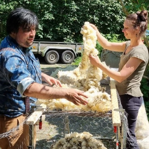 Polderdraad verwerkt Nederlandse wol tot lokale breigaren