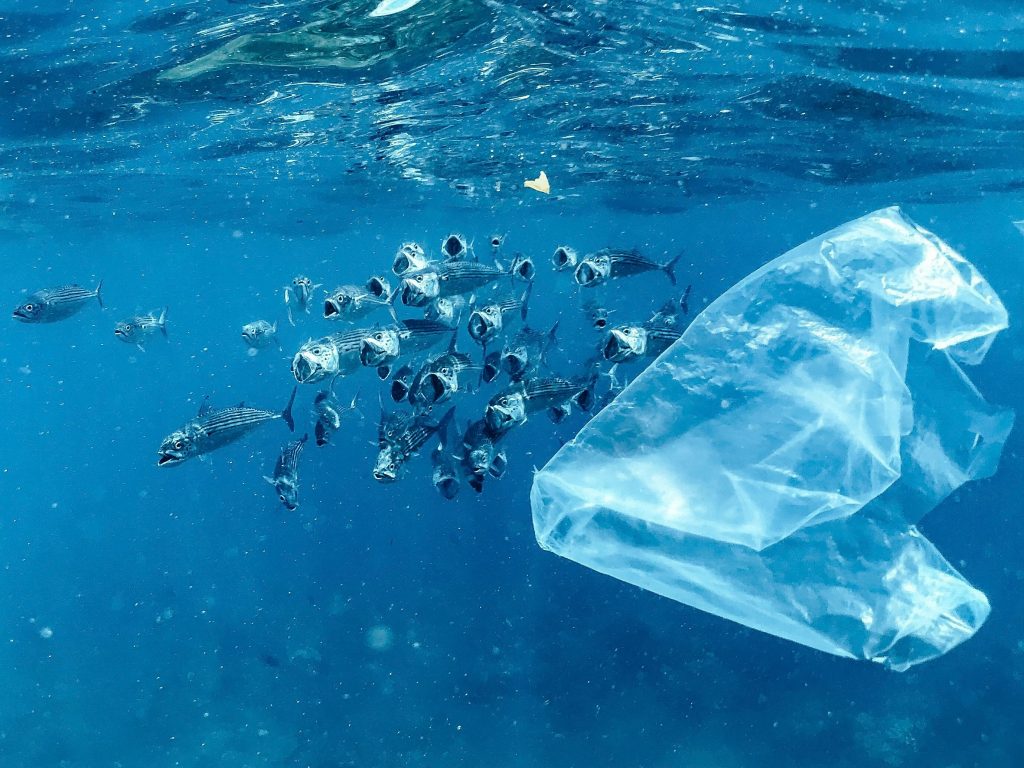 Mei Plasticvrij, doe mee aan de challenge en verminder jouw plasticgebruik