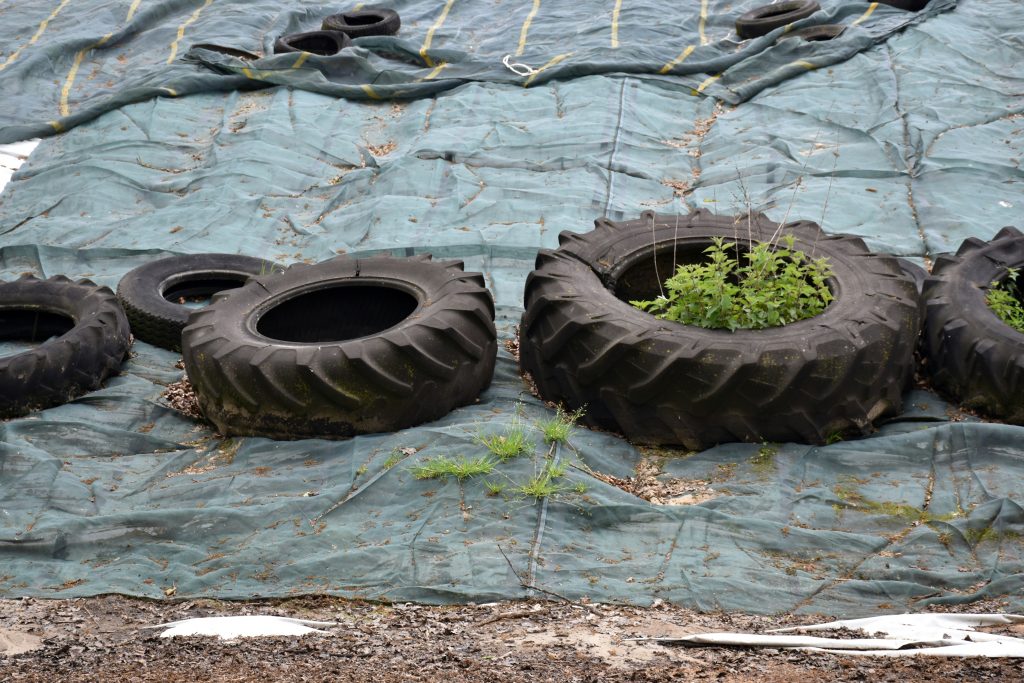 Mest van mensenpoep en urine, is dat een goed idee? 