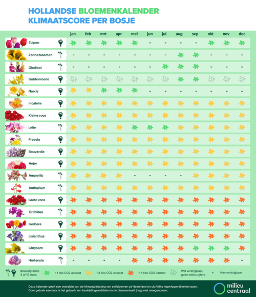 klimaatimpact bloemen