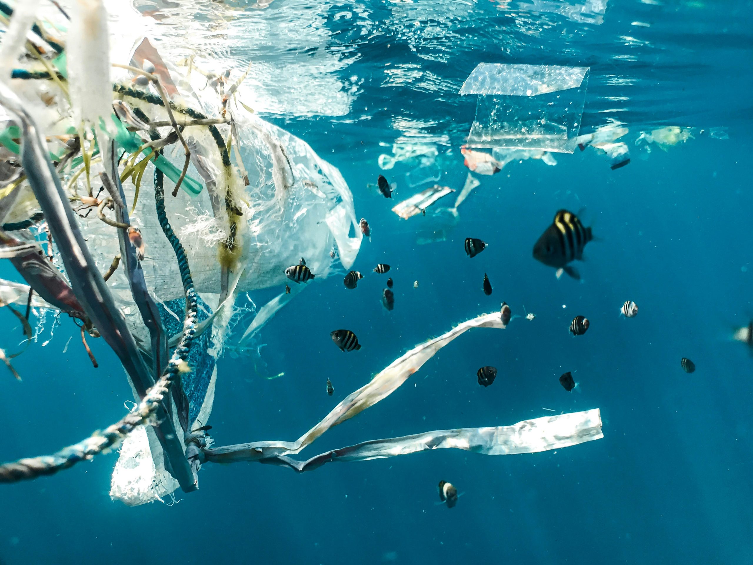 Mei Plasticvrij: plastic minderen blijkt vooral een gevecht tegen de supermarkt