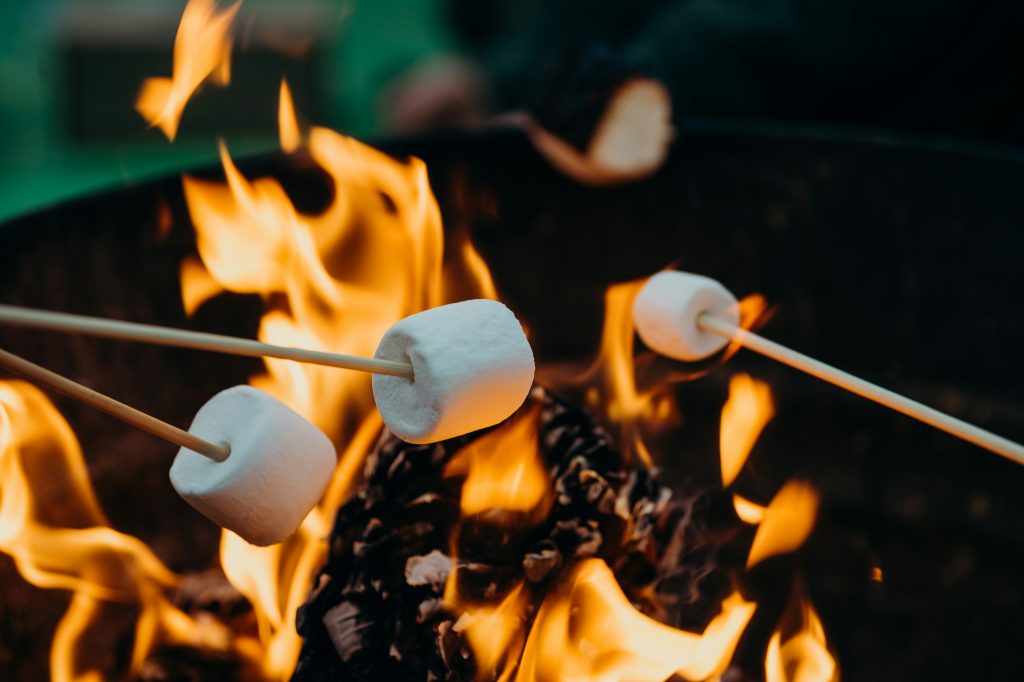 Dit zijn de 10 leukste natuurcampings van Nederland