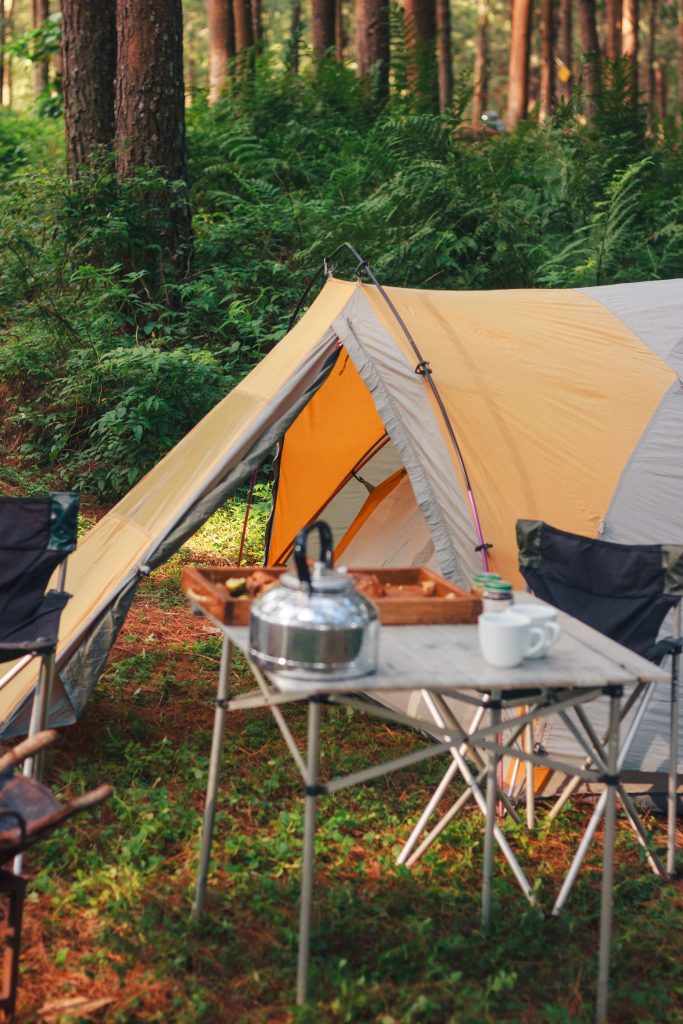 Dit zijn de 10 leukste natuurcampings van Nederland