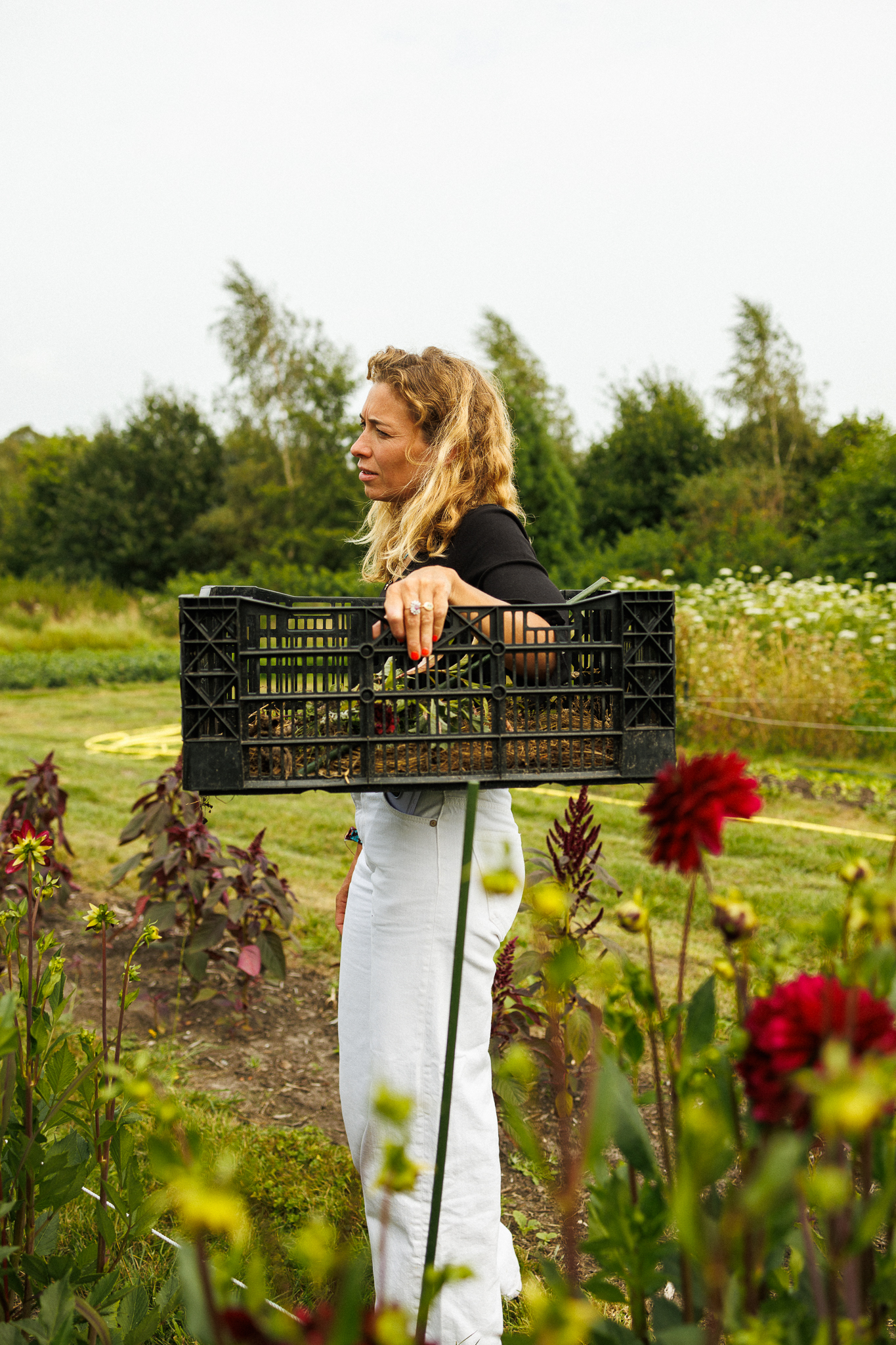 Biologische bloemen van Wilderful