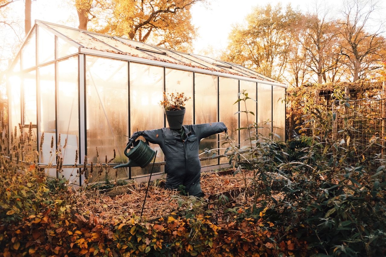 tuinklussen in de herfst